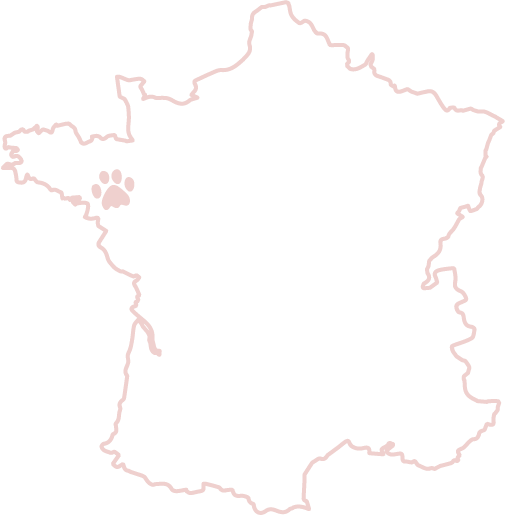 Carte magasin O'Maya Croq 44 56