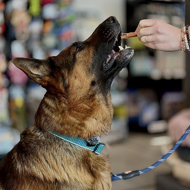 Friandise chien Snackies 100% viande séchée Bâtonnet de Lapin O'Maya Croq
