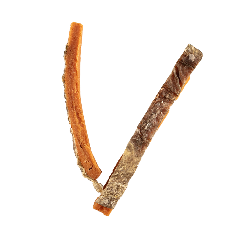 Friandise chien Snackies 100% viande séchée lanière de saumon O'Maya Croq